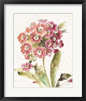 Framed 'Country Bloom II' border=