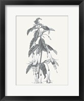 Framed Neutral Botanical I