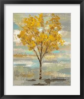 Golden Tree and Fog I Framed Print