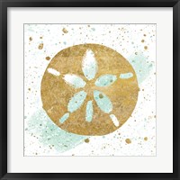 Framed Silver Sea Life Aqua Sanddollar