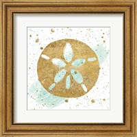 Framed Silver Sea Life Aqua Sanddollar