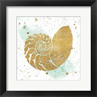 Framed Silver Sea Life Aqua Shell