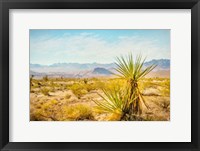 Framed Utah Desert Yucca