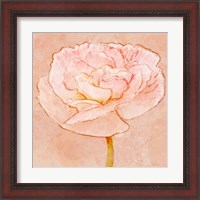 Framed 'Sweet Peach Poppy II' border=