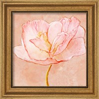 Framed 'Sweet Peach Poppy III' border=