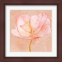 Framed 'Sweet Peach Poppy III' border=