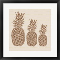 Three Pineapples Framed Print