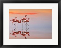 Framed Flamingos Family