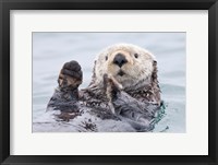 Framed Yesterday I Caught A Fish This Big! - Otter, Alaska