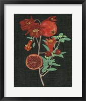 Framed Pomegranate Study I