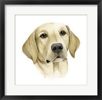 Human's Best Friend I Framed Print