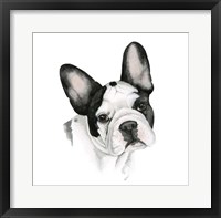 Human's Best Friend IV Framed Print