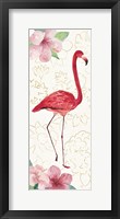 Tropical Fun Bird VI Framed Print