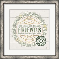 Framed 'Irish Blessings IV' border=