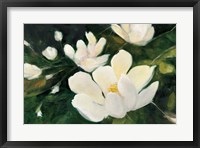 Framed Magnolia Blooms No Petal