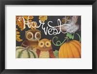 Framed Harvest Owl IV