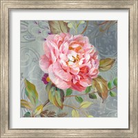 Framed 'Peonies and Paisley II' border=