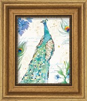 Framed 'Peacock Garden I' border=