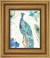 Framed 'Peacock Garden II' border=