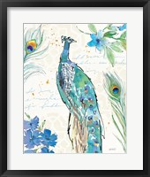 Peacock Garden II Framed Print