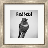 Framed 'Bird Nerd - Hummingbird' border=