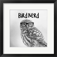 Framed Bird Nerd - Owl