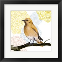 Framed 'Mandala Bird II' border=