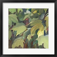 Framed Leaf Array I