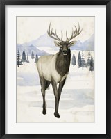 Alaskan Wilderness II Framed Print