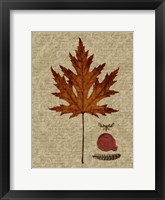 Autumn Leaf I Framed Print