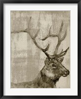 Sepia Elk Framed Print