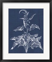 Foliage Chintz II Framed Print