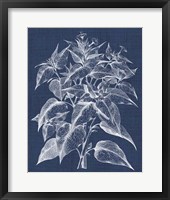 Foliage Chintz III Framed Print