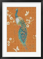 Framed Ornate Peacock X Spice