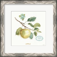 Framed 'My Greenhouse Fruit IV' border=