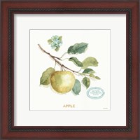 Framed 'My Greenhouse Fruit IV' border=