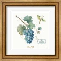 Framed 'My Greenhouse Fruit III' border=