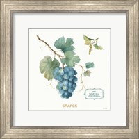 Framed 'My Greenhouse Fruit III' border=