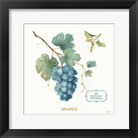 Framed 'My Greenhouse Fruit III' border=