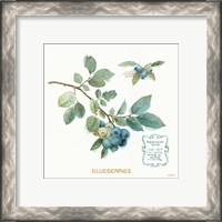 Framed 'My Greenhouse Fruit II' border=