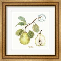 Framed 'My Greenhouse Fruit I' border=