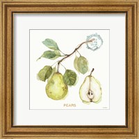 Framed 'My Greenhouse Fruit I' border=