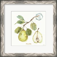 Framed 'My Greenhouse Fruit I' border=