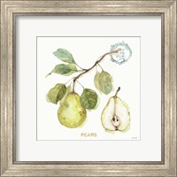 Framed 'My Greenhouse Fruit I' border=