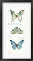 Framed My Greenhouse Butterflies VI