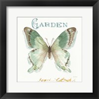 My Greenhouse Butterflies III Framed Print