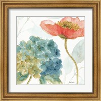 Framed 'Rainbow Seeds Flowers IV' border=