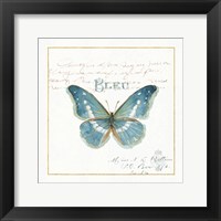 Rainbow Seeds Butterflies V Framed Print