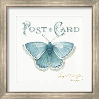 Framed 'My Greenhouse Butterflies I' border=