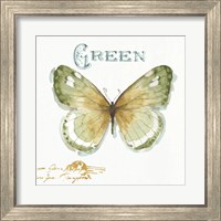 Framed 'My Greenhouse Butterflies IV' border=